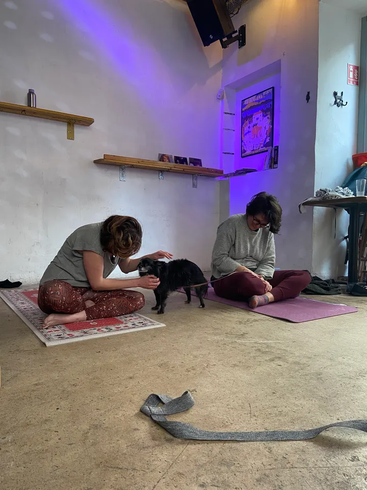 Rebel Yoga — yoga-studio à Marseille — 3