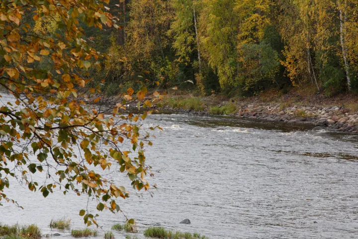 Kehontuntemus — Breathwork – Oulu