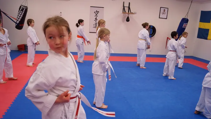 Västerås Shukokai Karateklubb — kampsport-studio i Västerås — 5