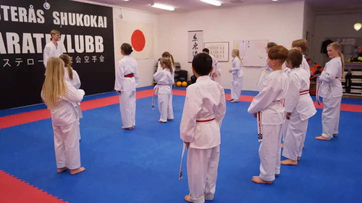 Västerås Shukokai Karateklubb — martial arts-studio i Norra Gryta, Västerås