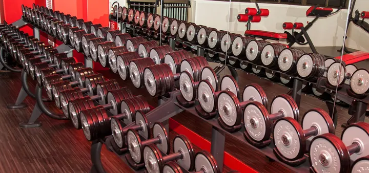 Unique Fitness & Salute — palestre-studio a Madonna di Lugo, Spoleto — 2