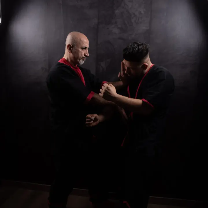 Wing Tsun Academy International Hannover — Kampfsport in Vahrenwald, Hannover