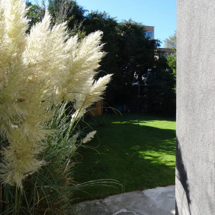 L'Arbre de Vie — yoga-studio à Brest — 5