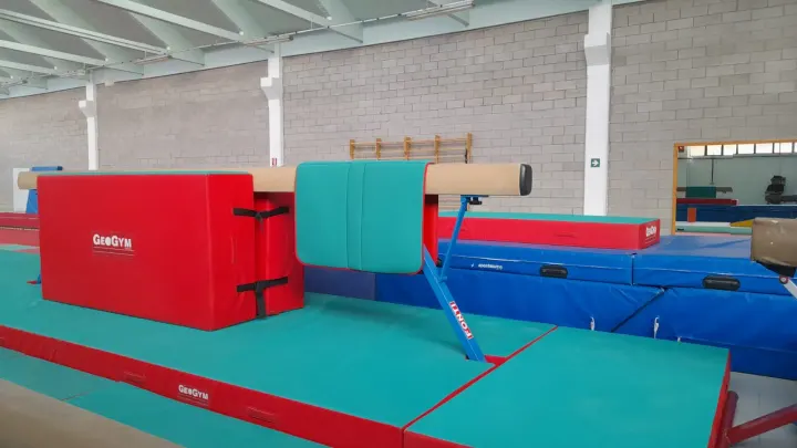 Ginnastica La Stella s.s.d. — Ginnastica a Grugliasco