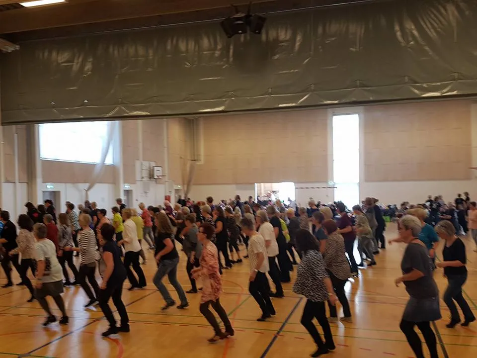 Aarhus Linedanze — dans-studio i Vejlby, Aarhus — bild 3