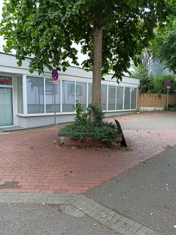 Tiger Sportakademie Esslingen am Neckar — kampfsport-studio in Pliensauvorstadt, Esslingen am Neckar — 2