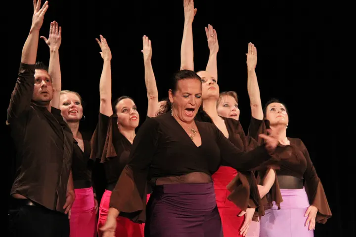 Flamencostudio Carmen Diana — tanz-studio in Ulm — 3