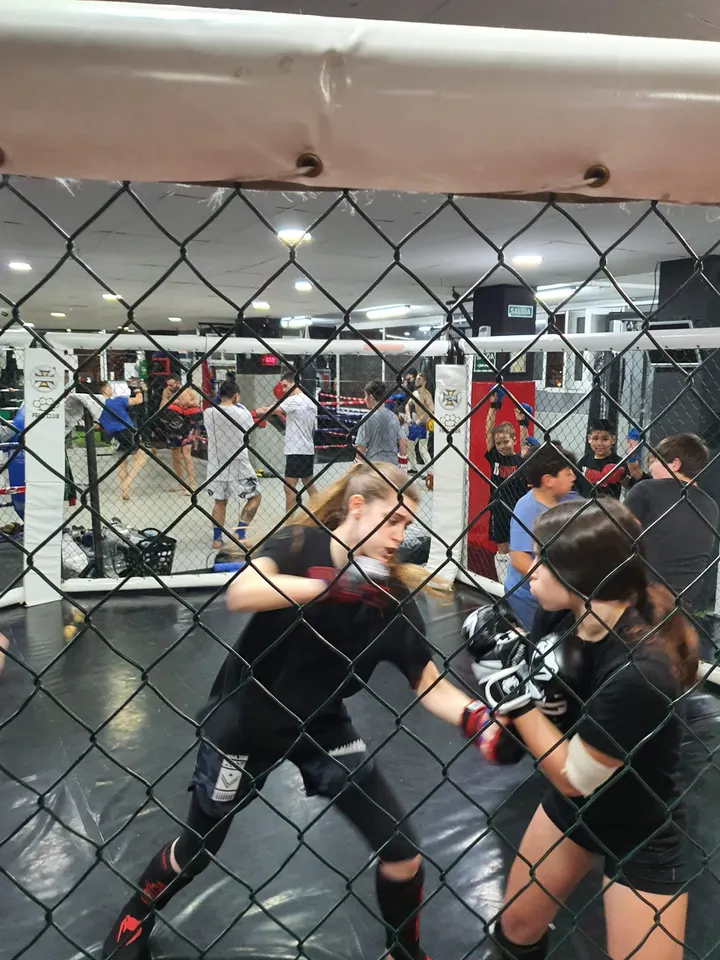 69 MONOS — mma-studio en Cornellà de Llobregat, Barcelona — 2
