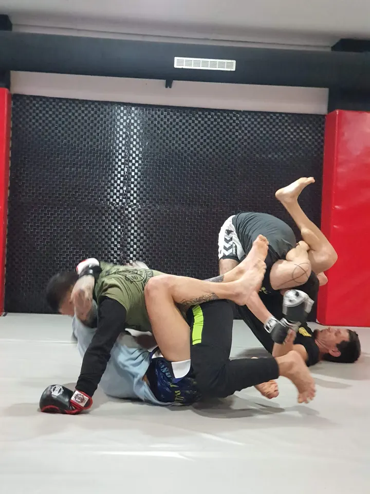 69 MONOS — mma-studio en Cornellà de Llobregat, Barcelona — 3