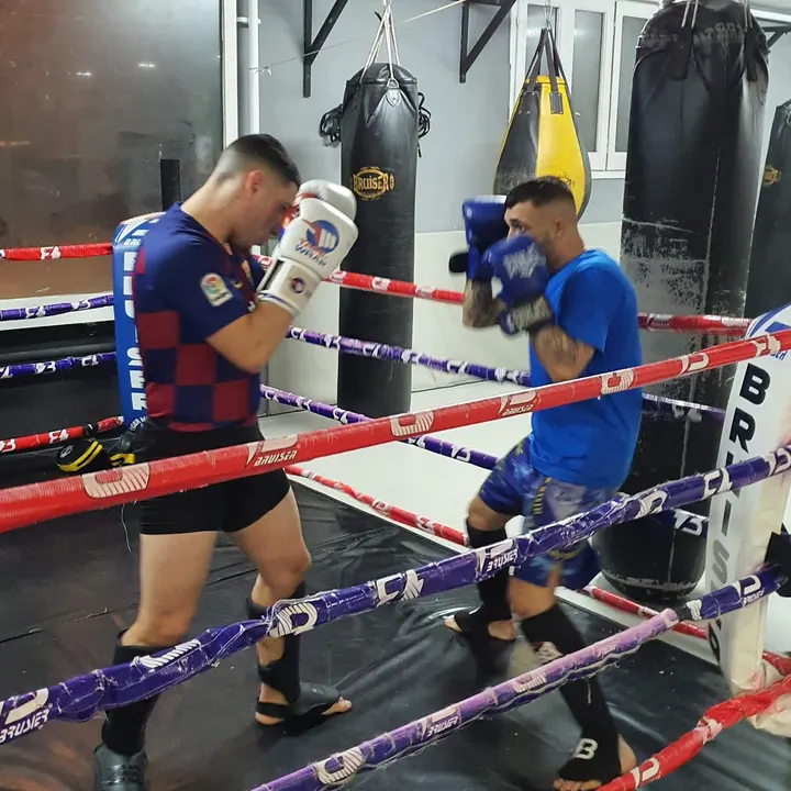 69 MONOS — mma-studio en Barcelona — 4