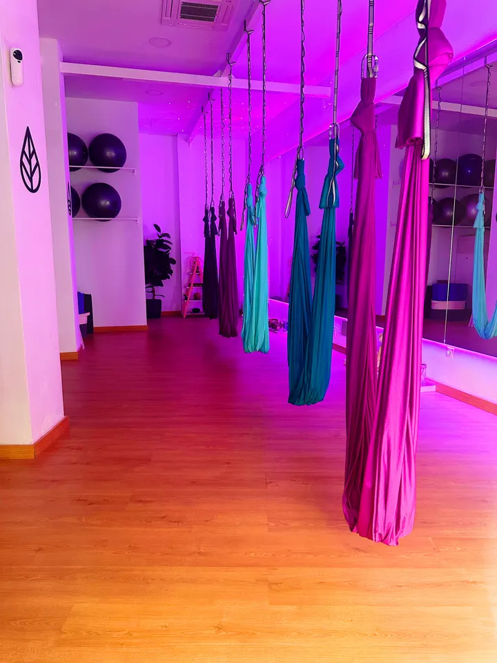 Fly Gaia Studio - Yoga Aéreo & Terapias Integrativas — aerial-studio en Madrid — 4