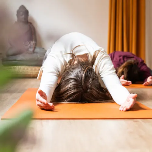 Ananda Yoga 🧘 — Yoga in Hilversum