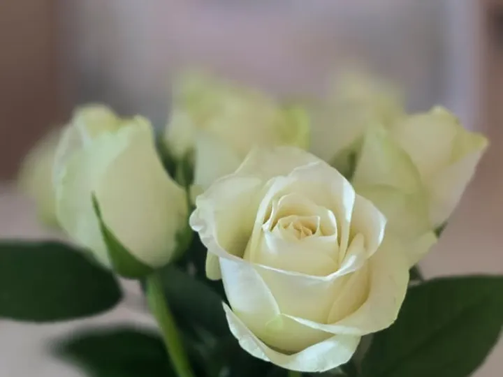 Ananda Yoga 🧘 — yoga-studio in Hilversum — 3