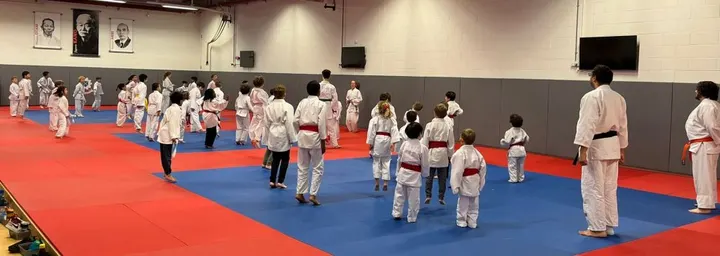 St Albans Judo Club — Martial Arts in St Michael, St Albans