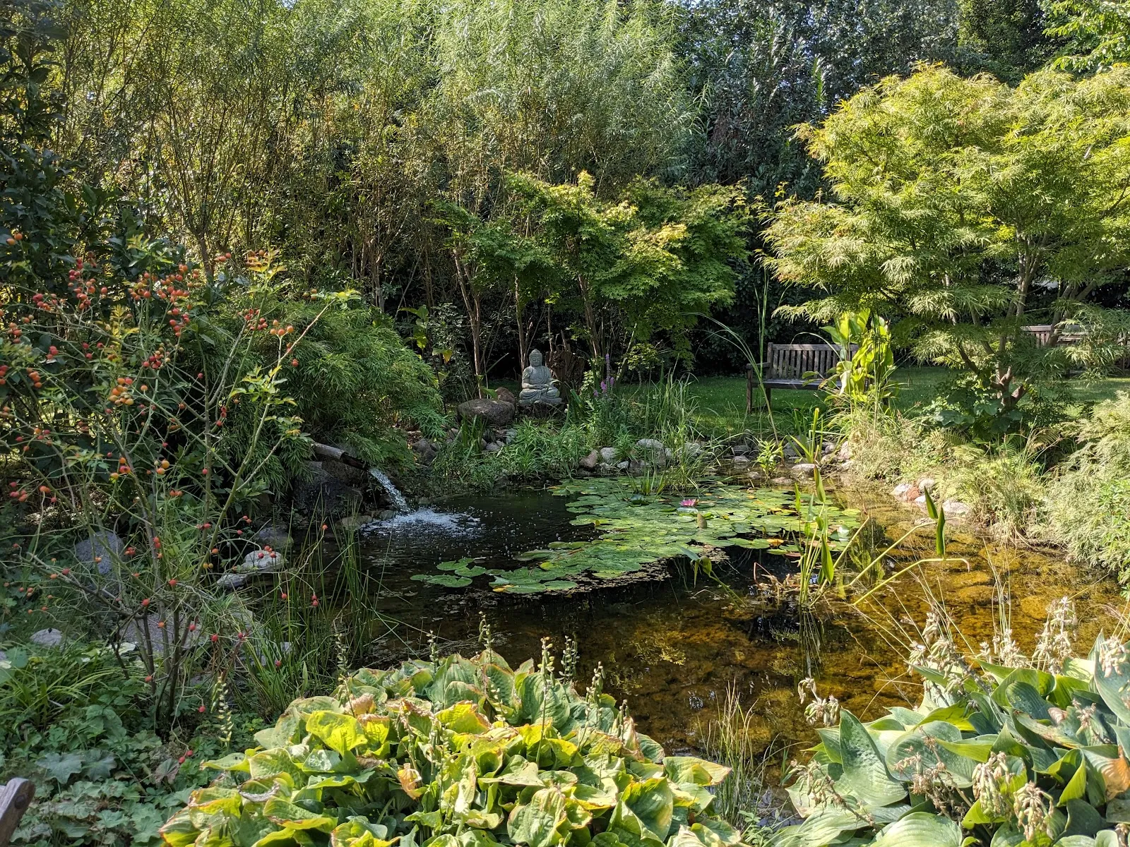 Lotos-Vihara Meditationszentrum — meditation-studio in Mitte, Berlin — 3