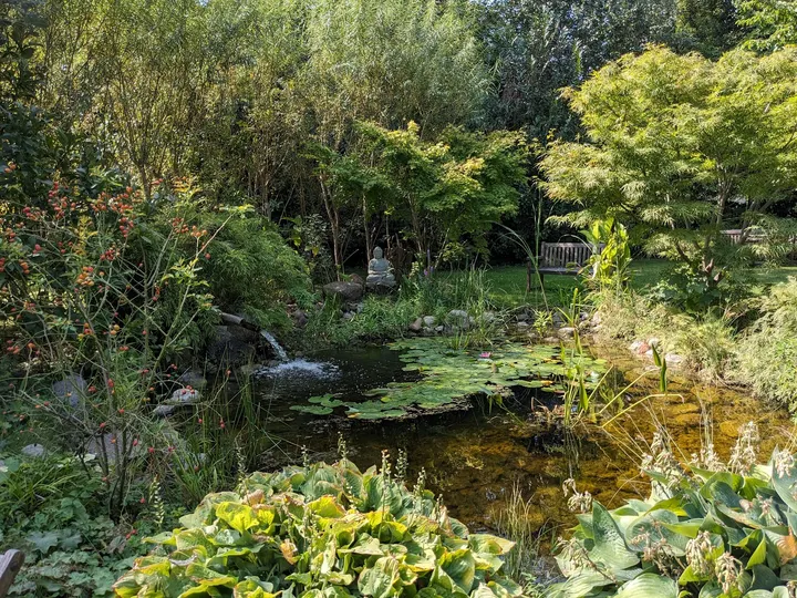 Lotos-Vihara Meditationszentrum — meditation-studio in Mitte, Berlin — 3