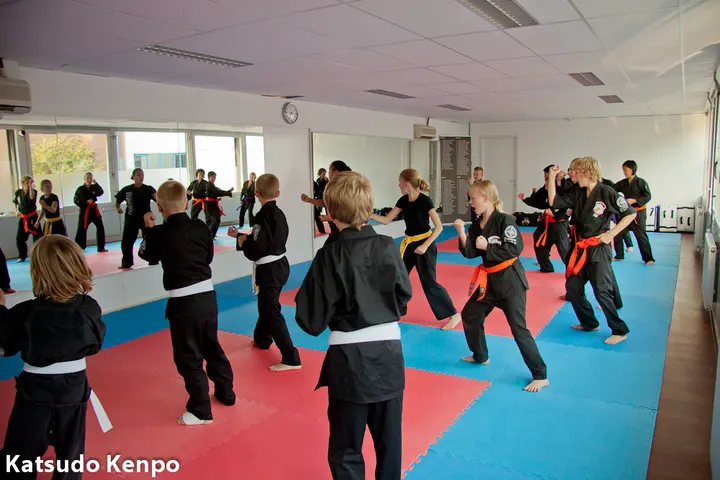 Katsudo Kenpo — Vechtsport in Merwestein, Nieuwegein