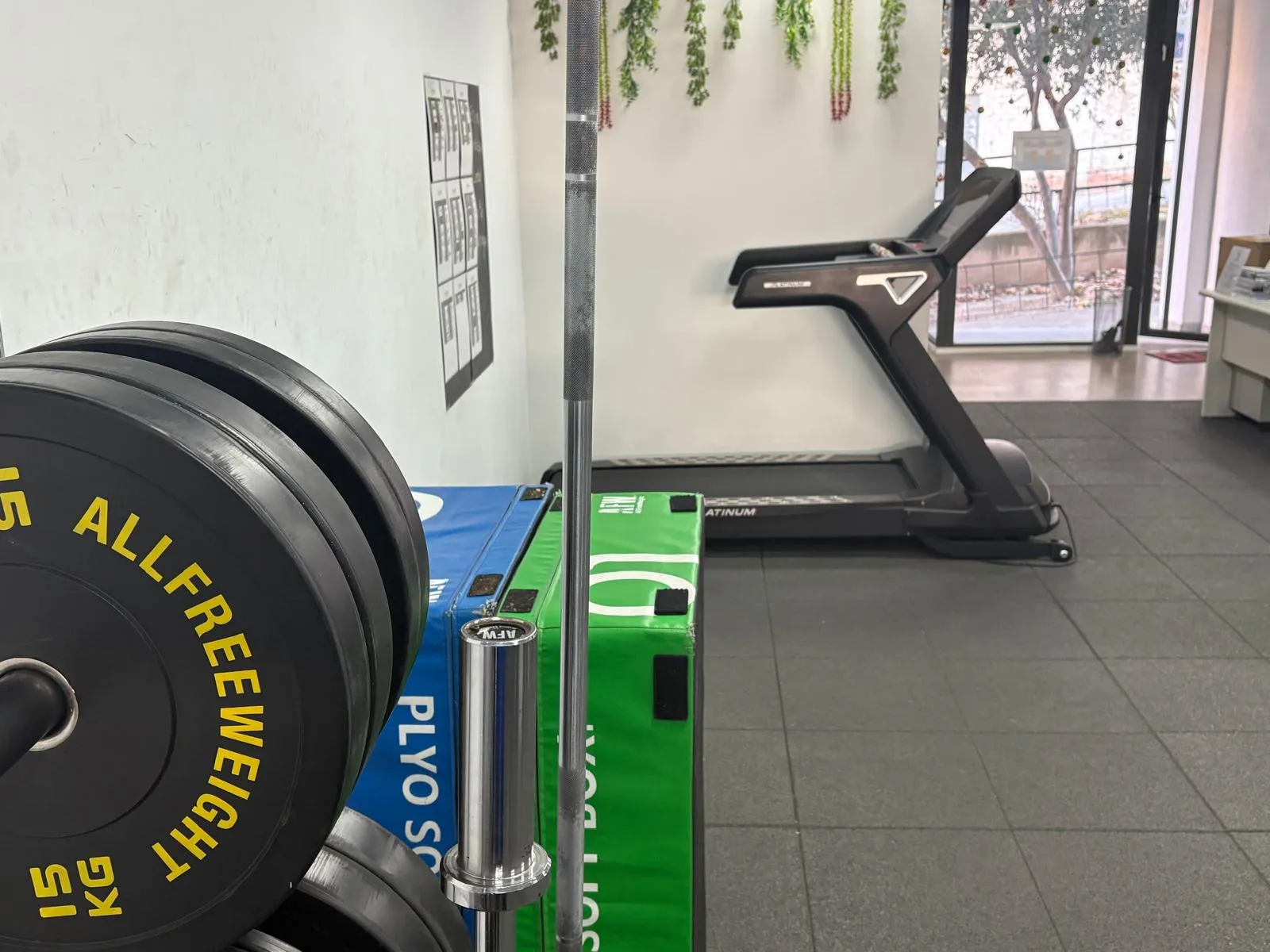 Gimnasio en Jaén | Olympo Tae Fitness — estudio de fitness-studio en Jaén — 5