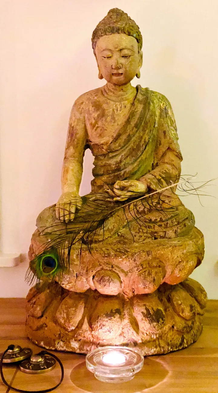 &Yoga en Natuurcoaching Leusden & Amersfoort — yoga-studio in Leusden — 3