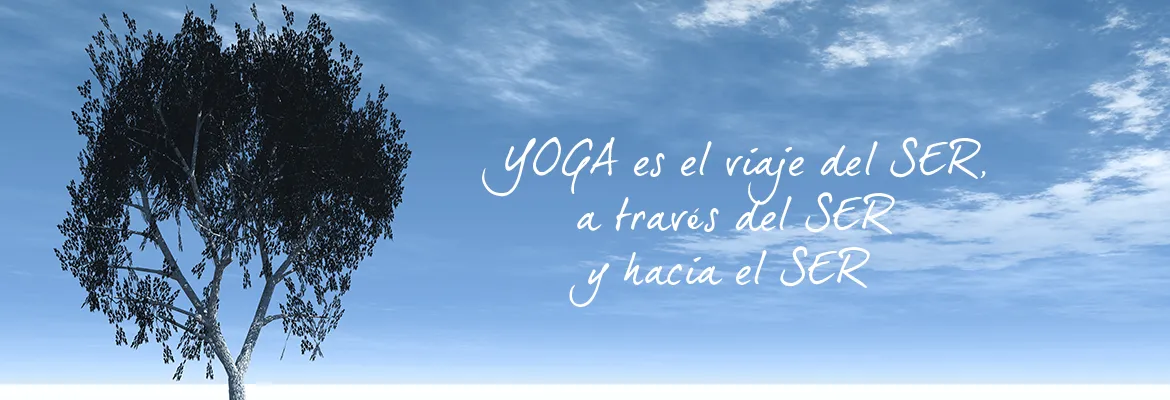 YOGALUGO Centro Terapéutico — yoga-studio i A Ponte, Lugo — bild 3
