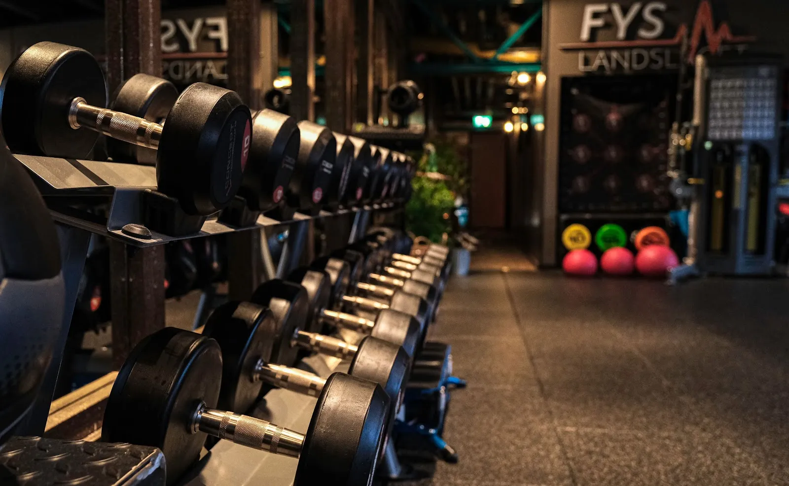 FysLandslaget — pt-studio-studio i Visby — bild 2