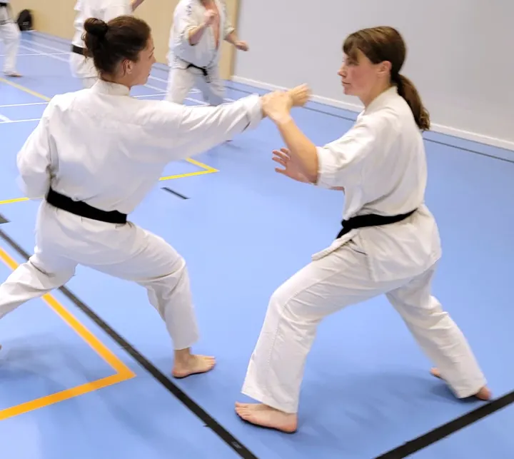 Abo Karate Do Shotokai — Martial Arts – VII, Turku
