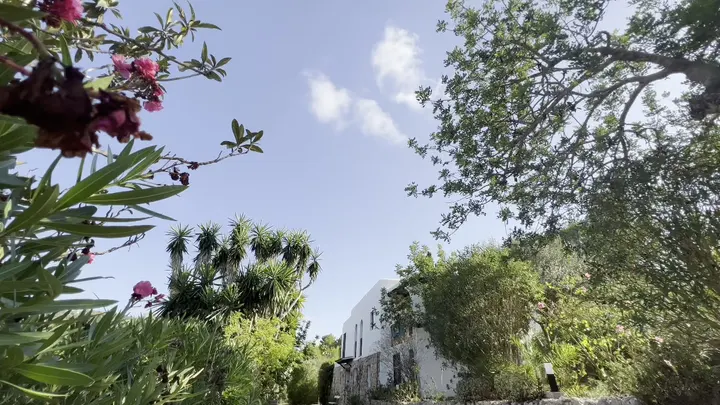 Retraites op Ibiza — yoga-studio in Schollevaar, Capelle aan den IJssel — 3