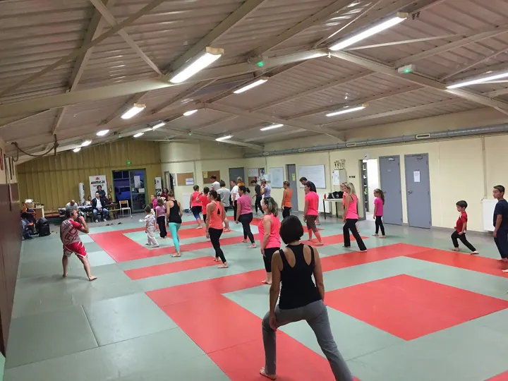 Himeji Karaté Club — arts martiaux-studio à Neuillé-Pont-Pierre — 2