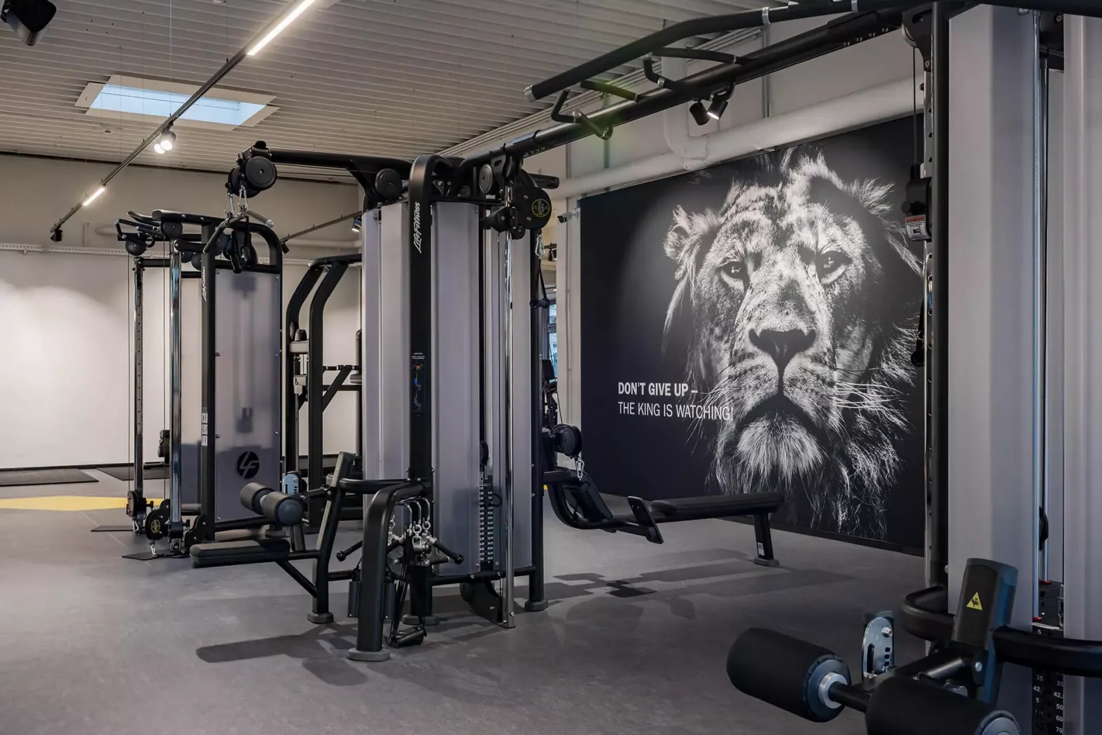 Fit Star — pt-studio in München — 3