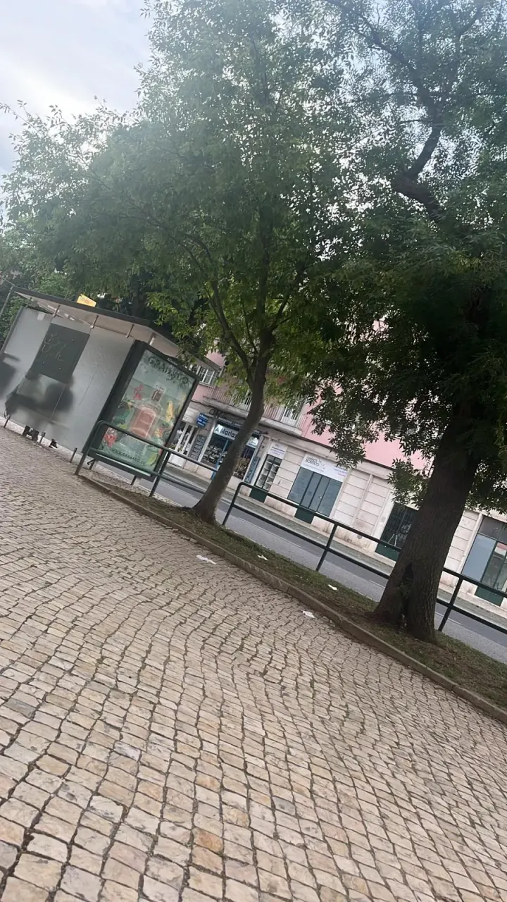 Judo Clube Lisboa — artes marciais-studio em Lisboa — 3