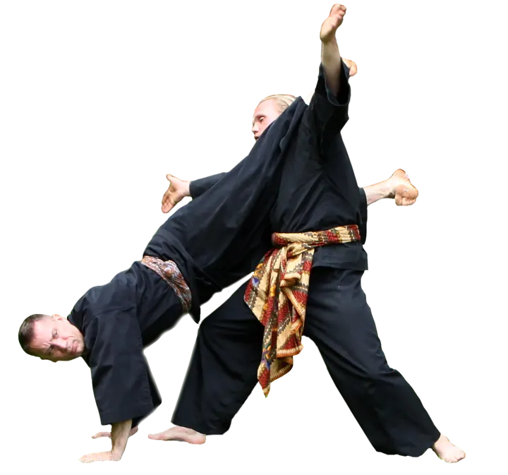 Pencak silat setia hati terate — Vechtsport in Statenkwartier, Maastricht