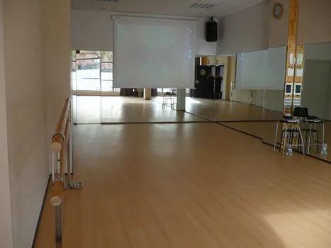 Anisa Saghira Danza Oriental — baile-studio en Laguna de Duero — 3