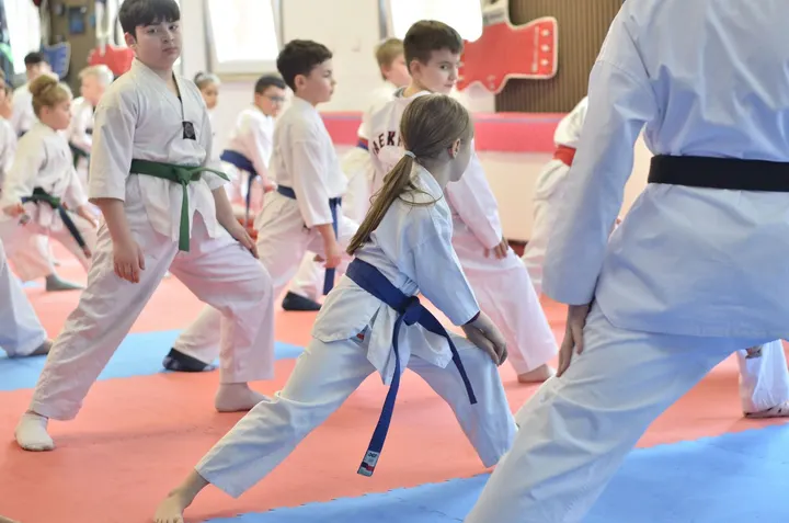 Tae-kwon-do Elite — kampfsport-studio in Nürnberg — 4