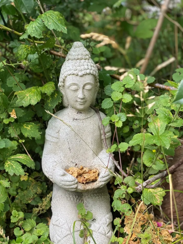 Yoga mit Anke Grobheiser — yoga-studio in Niederschönhausen, Berlin — 3
