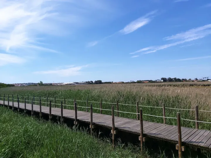 Ginásio da Barrinha - Esmoriz — Ginásio em Esmoriz