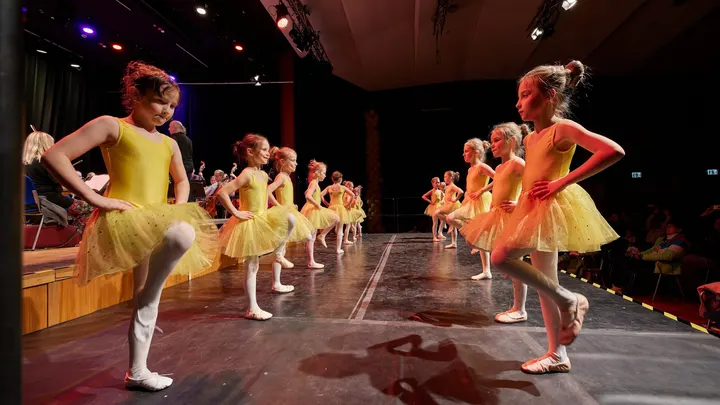Ballettschule Cristina Bub — tanz-studio in Schwabach — 2