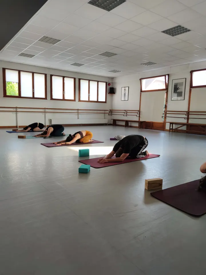 Salome Roche YOGA — Yoga à Le Clos Saint-Michel, Annecy