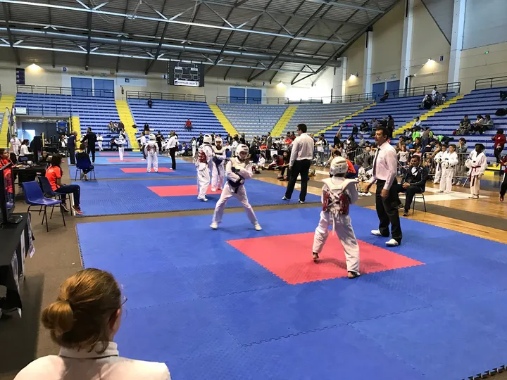 3MTKD Montpellier Méditerranée Métropole Taekwondo — Arts martiaux à Pas du Loup, Montpellier