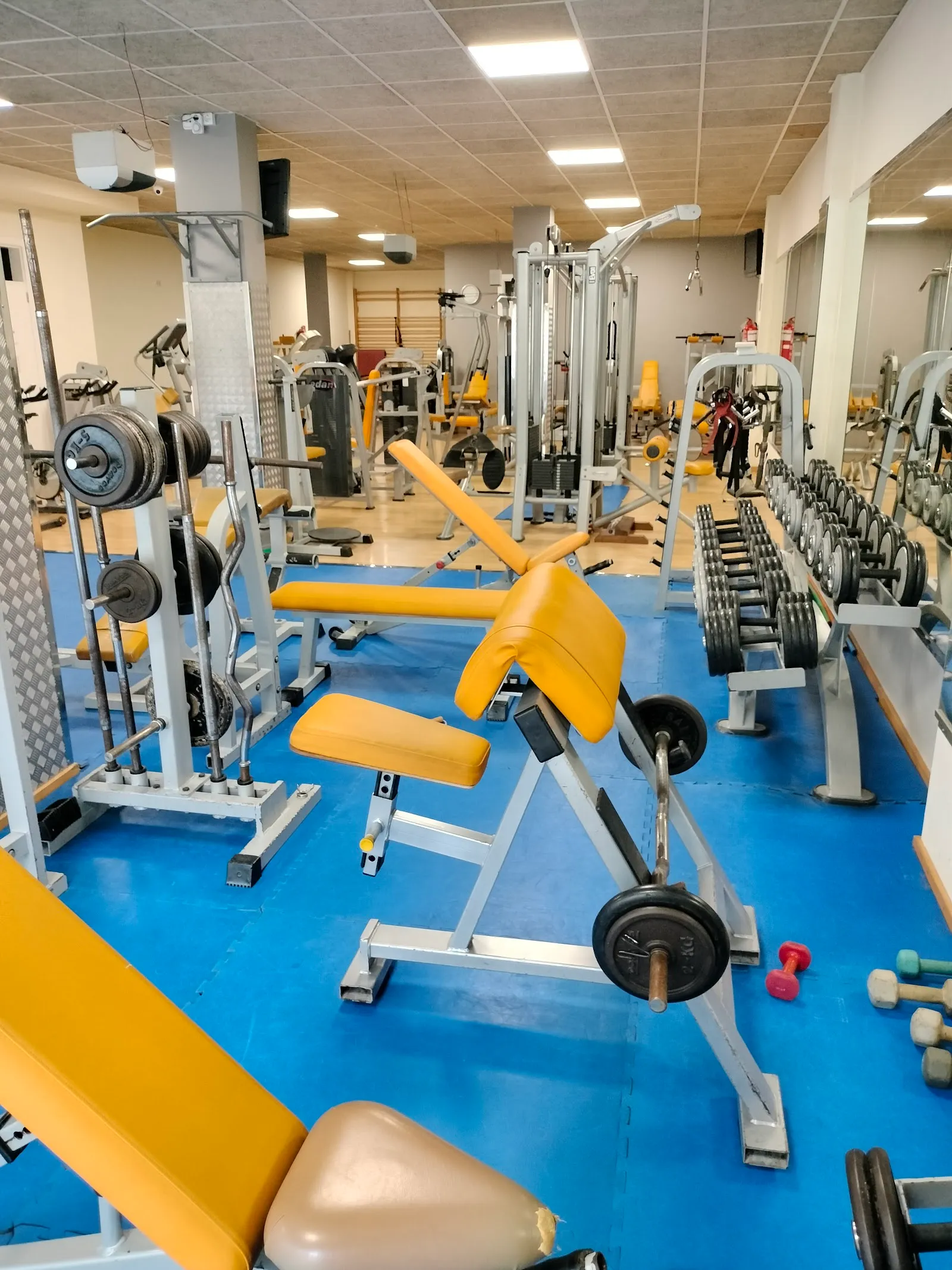 OLIMPIC COR — estudio de fitness-studio en Manacor — 2