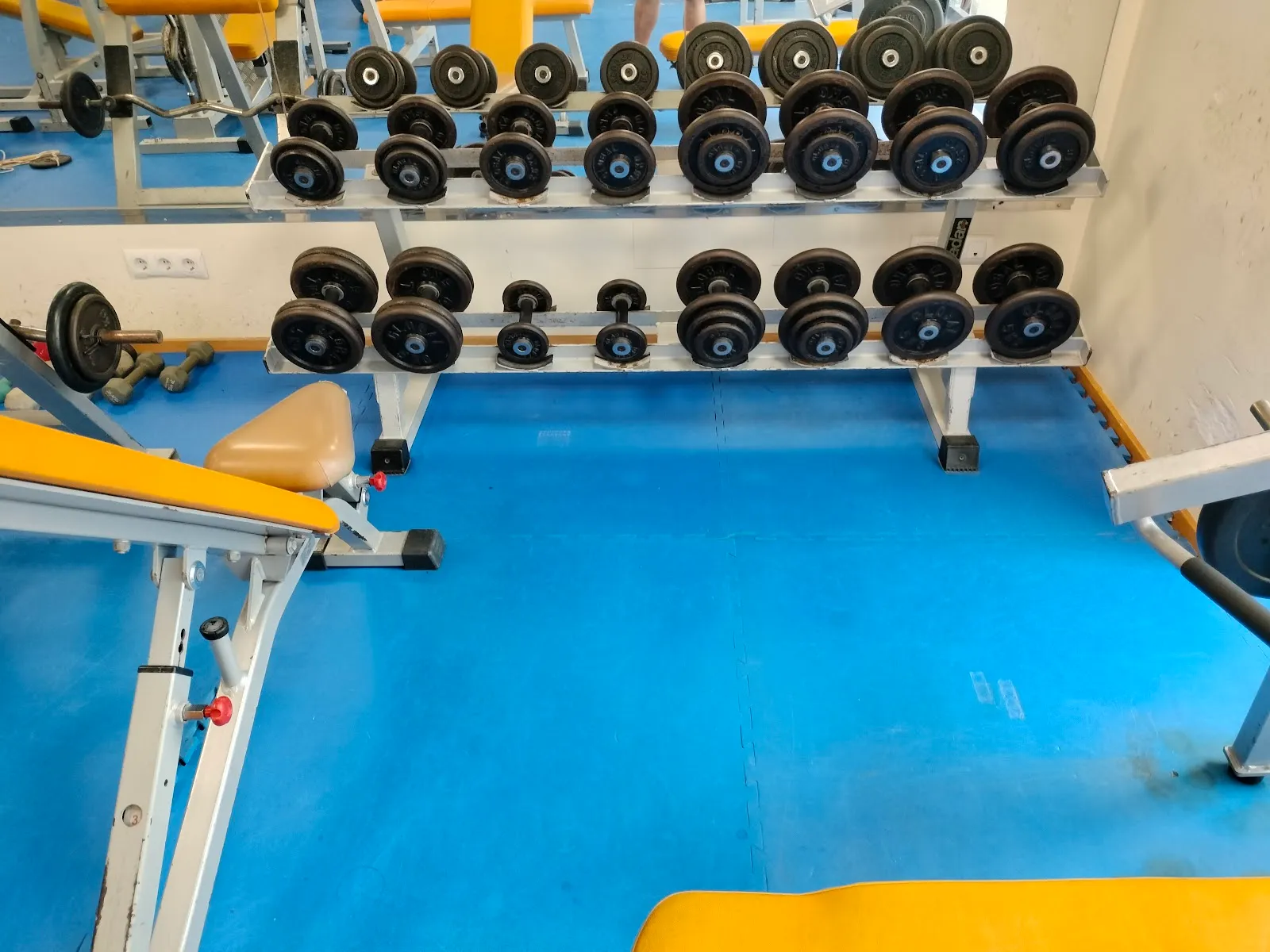 OLIMPIC COR — estudio de fitness-studio en Manacor — 3