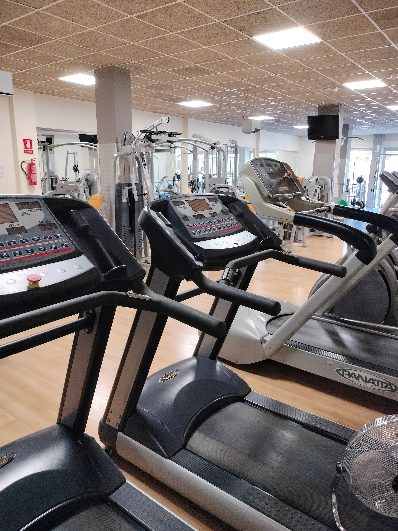 OLIMPIC COR — estudio de fitness-studio en Manacor — 4
