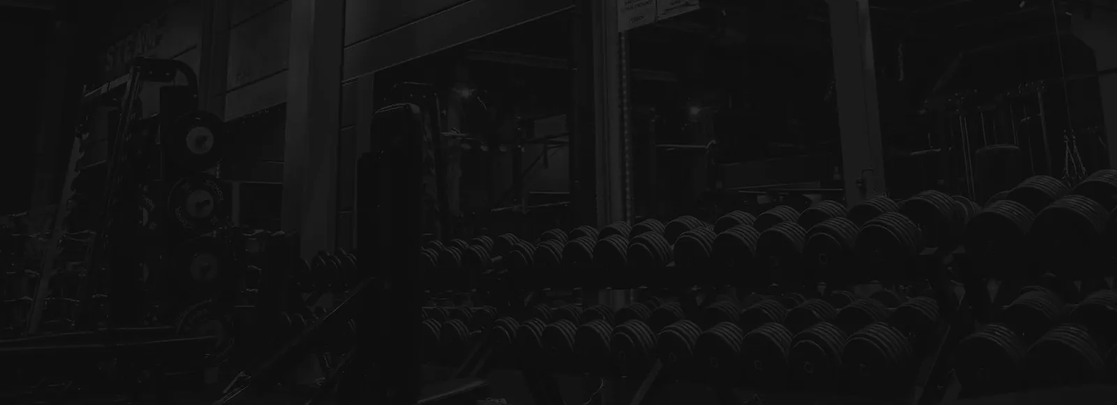 STEAM Strength & Fitness AB — pt-studio-studio i Öster, Växjö — bild 2