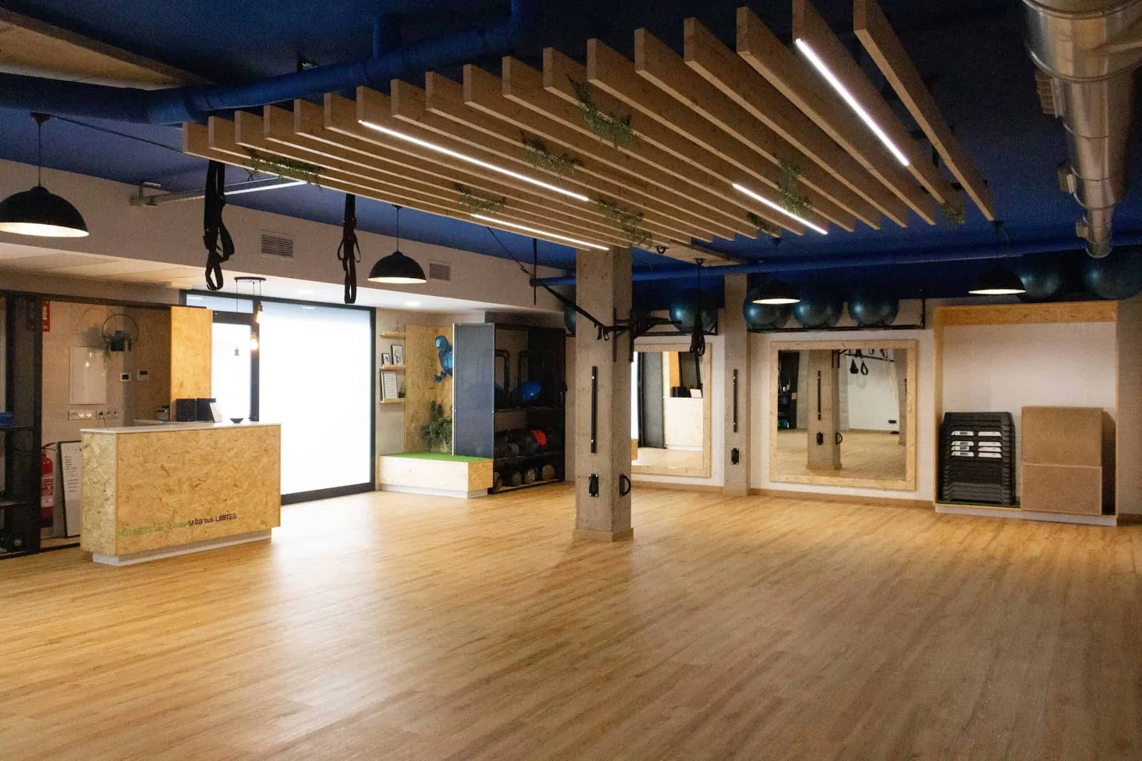 Serimed Revolución Centro De Entrenamiento — estudio de fitness-studio en Montserrat — 3
