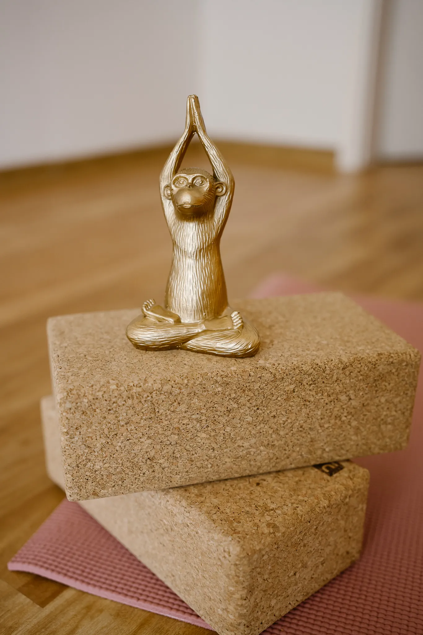 Papaya Yoga Studio — yoga-studio i Baden-Baden — 5