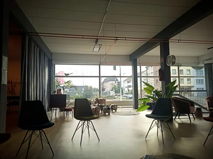 Ballett Ballenberger — Yoga in Krefeld-Mitte, Krefeld