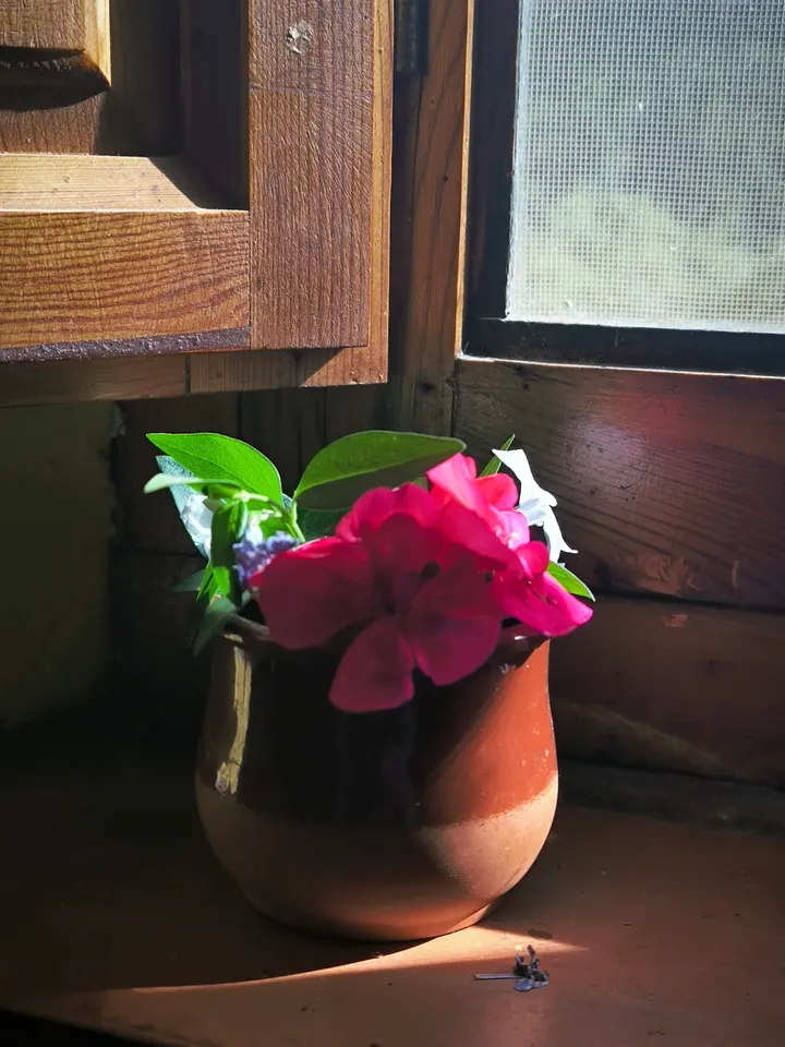 Espai Terra — yoga-studio en Reus — 3