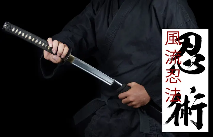 Ninjutsu Lübeck — kampfsport-studio in Holstentor-Nord, Lübeck — 2