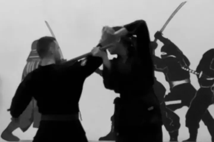 Ninjutsu Lübeck — kampfsport-studio in Lübeck — 3