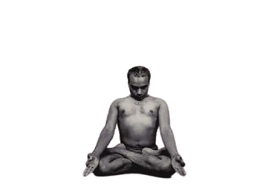 Yoga Iyengar — yoga-studio i Marbella — bild 3
