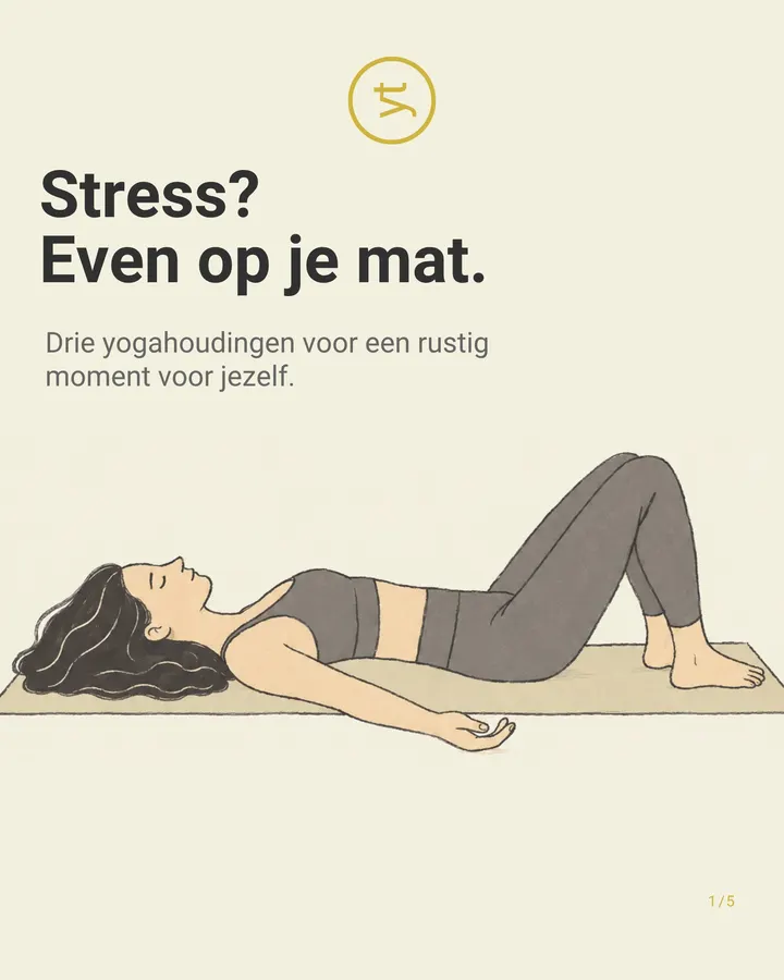 Yoga Treasure — yoga-studio in Hoorn, Alphen aan den Rijn — 2